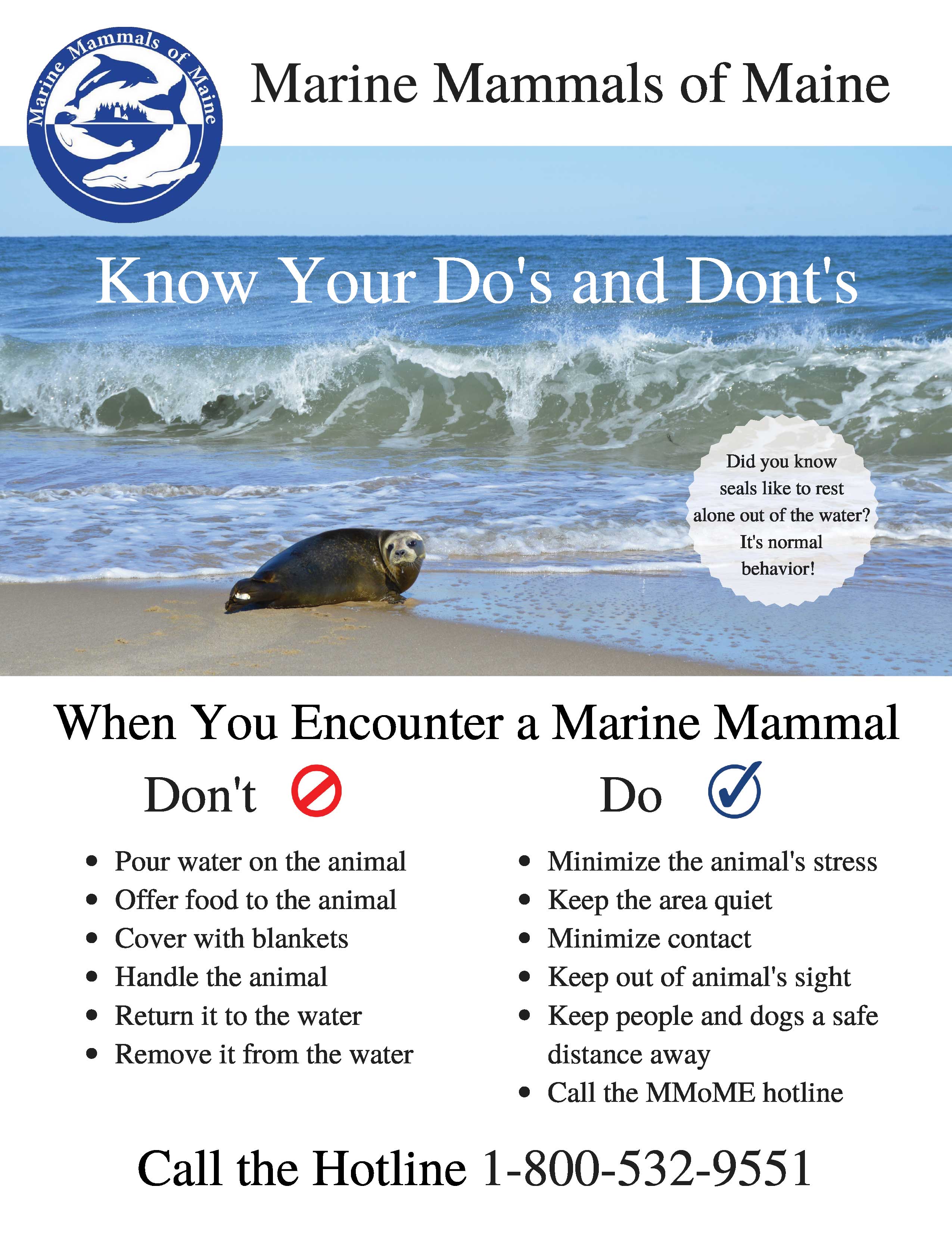 Marine-Mammals-of-Maine-pup-season-poster