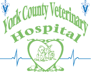 York County Veterinary Hospital