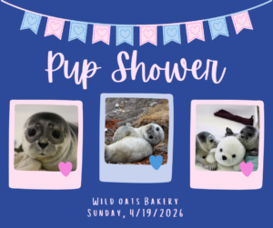 Pup Shower Wild Oats Bakery Sunday 4/19/26
