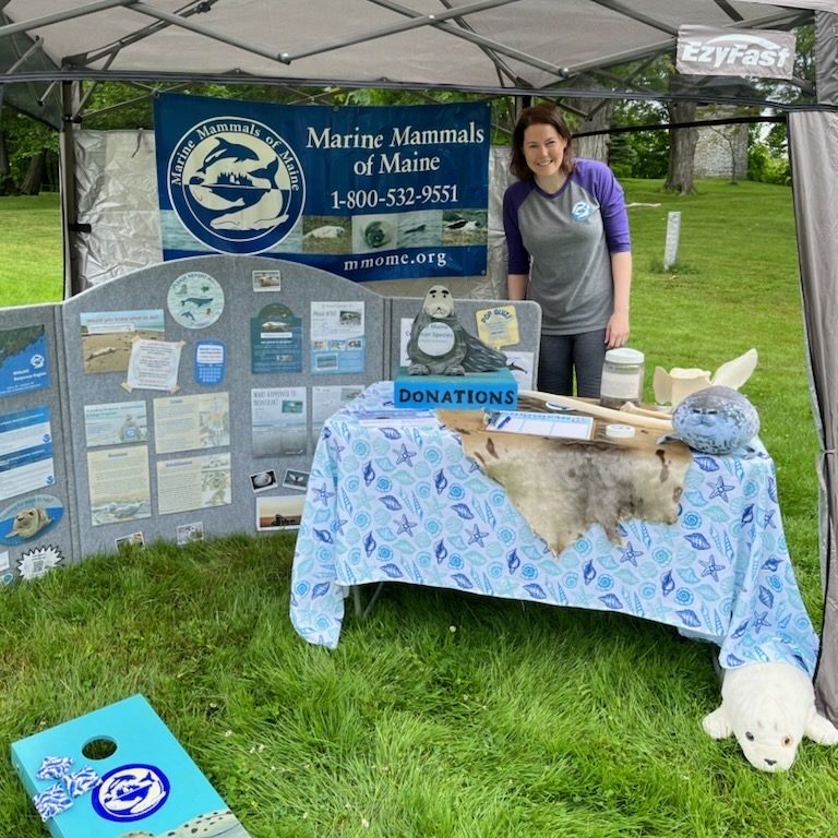 Outreach table display